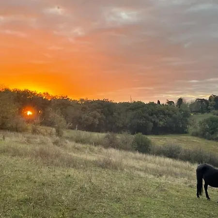 L Echappee A Deux, And Pyrenees View