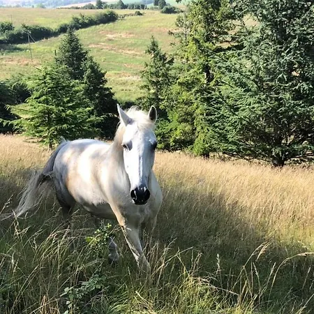 L Echappee A Deux, And Pyrenees View Lacroix-Falgarde