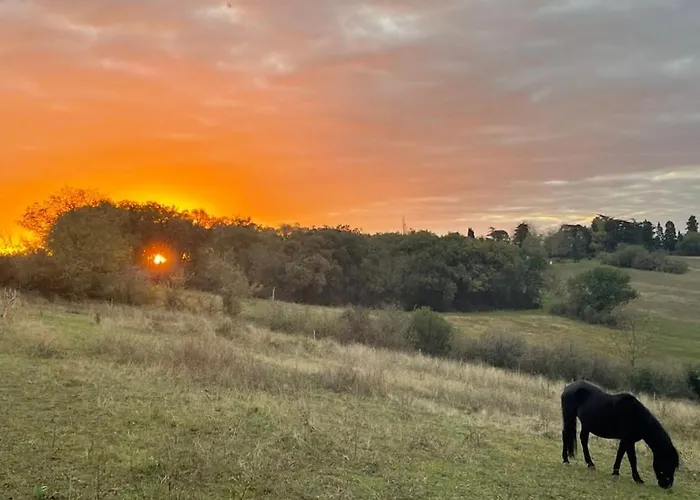 L Echappee A Deux, And Pyrenees View