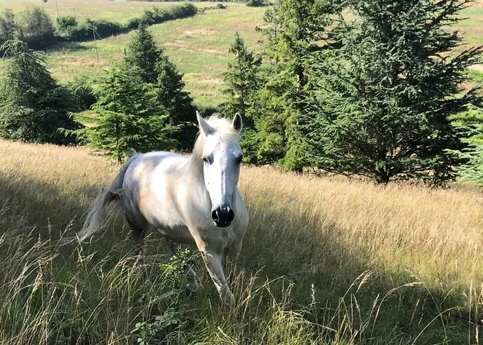 L Echappee A Deux, And Pyrenees View Lacroix-Falgarde